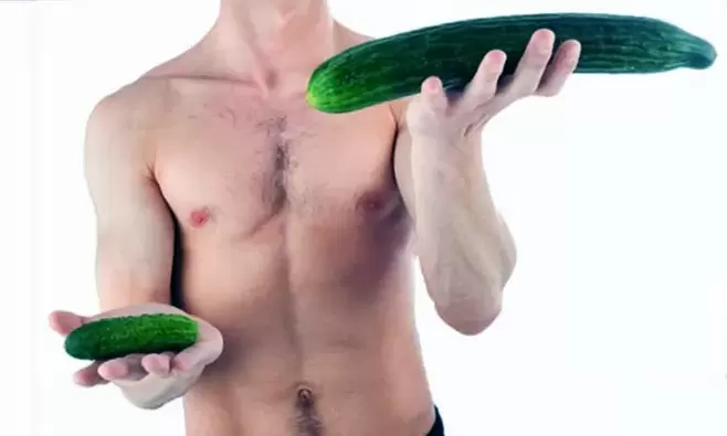 petite et grande taille de pénis en utilisant les concombres comme exemple