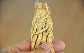 herbes pour l'agrandissement du pénis